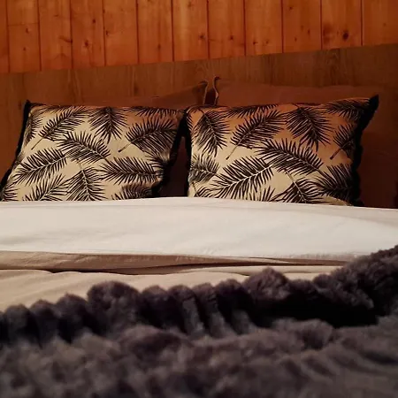 Des Sommets Privatif Vue Panoramique Sur Les Montagnes Lavigerie